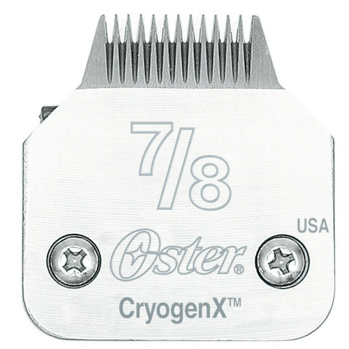 Oster A5: Size 7/8