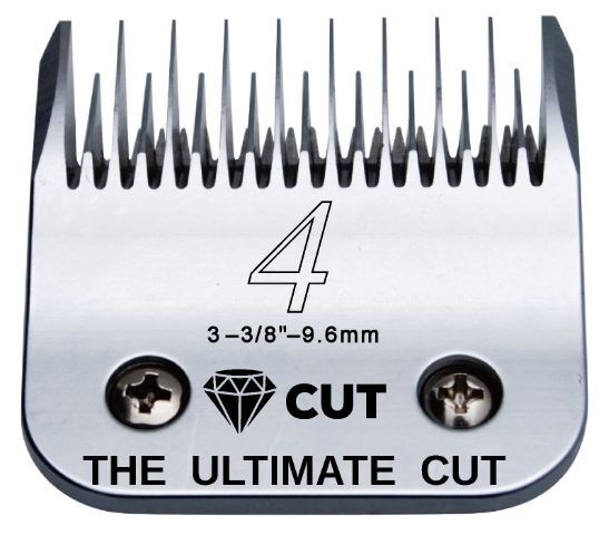 Diamond Cut Blade 4