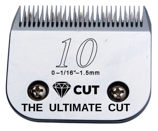 Diamond Cut Blade size 10